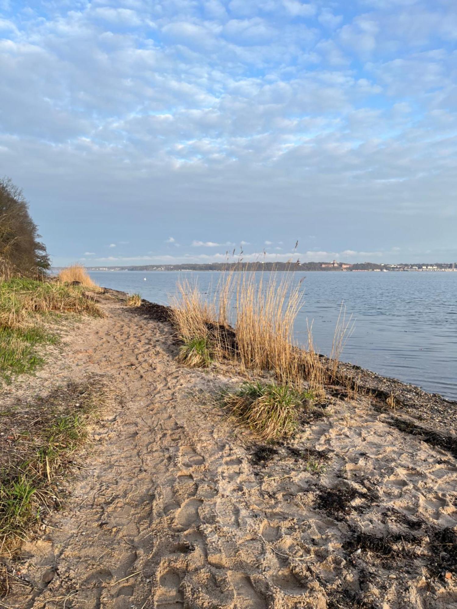 Neu 2024 - Fewo Mit Meerblick & Flair Harrislee Exteriör bild